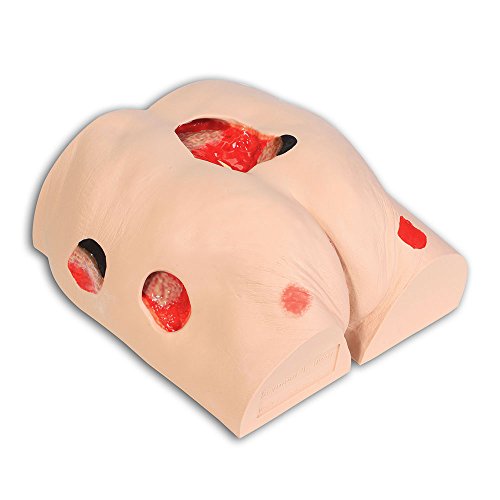 VATA Seymour II Wound Care Model
