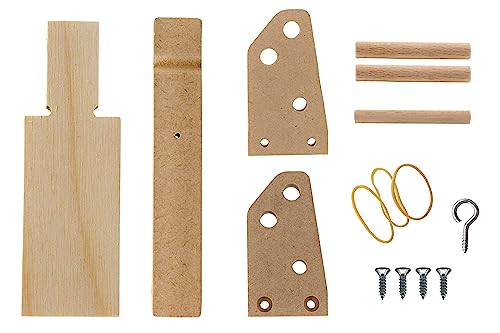 Miniature Catapult Kit - Build Yourself - STEM Learning - Comes Explore Force, Acceleration, Center of Mass, Hooke's Law & More - Garage Physics by Eisco