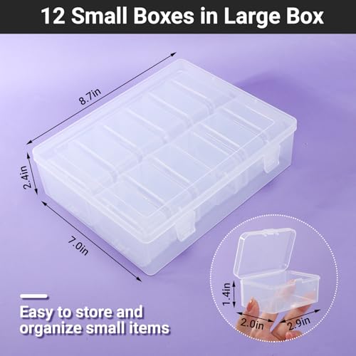 Cosics Bead Organizers and Storage, Clear Plastic Bead Storage Containers with 12 Mini Storage Case for Small Projects, DIY Craft Jewelry, Stickers, False Nails, Screws, Seeds - color: Clear, size: 12 Grids-1PCS