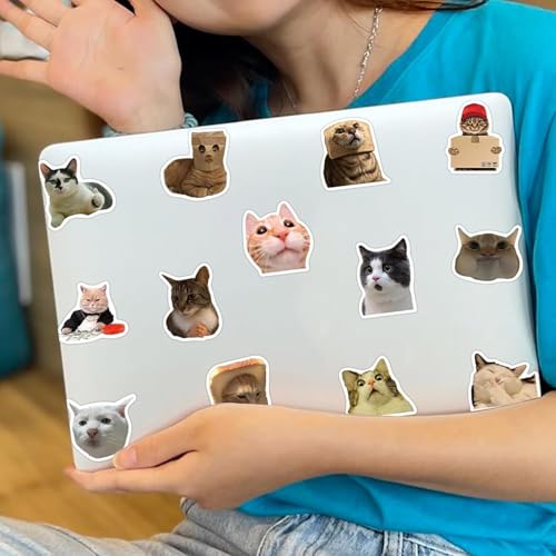 Feng Qi 100PCS Cute Cat Stickers, Funny Kitten Meme Stickers for Laptop Scrapbook Water Bottles Guitar Suitcase Journaling, Waterproof Vinyl Cat Decals for Teens Adults - color: Cat Meme