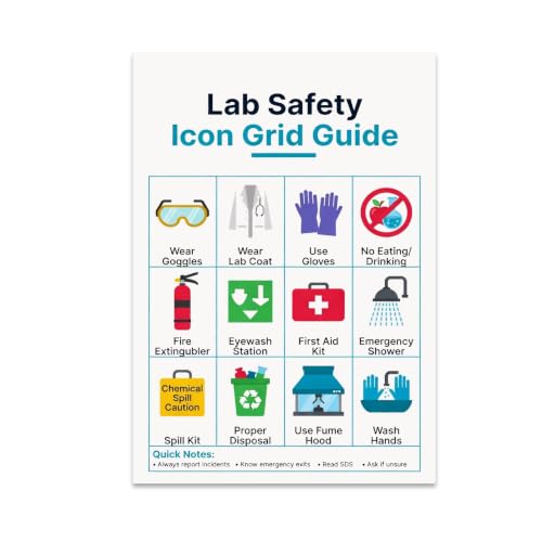 Lab Safety Icon Grid Guide Poster - Science Classroom Decor - 13x19