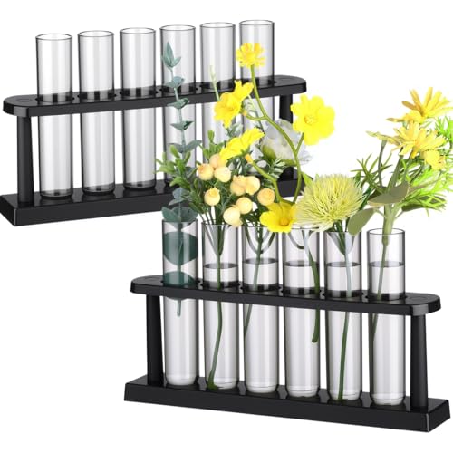 Meanplan 12 Plant Test Tube with 2 Propagated Plant Holders, Test Tube Vase