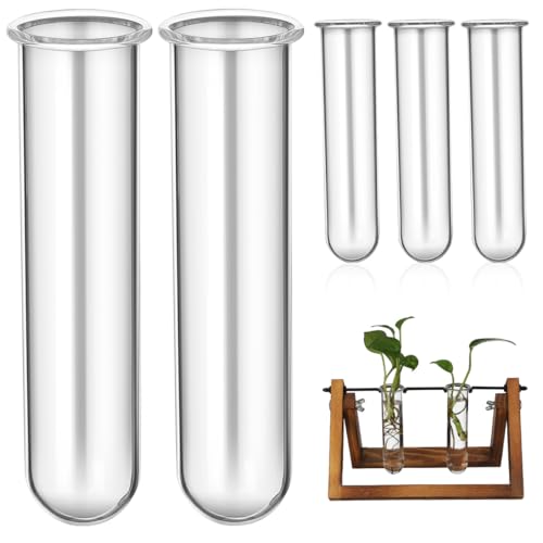 Kisangel 5Pcs Plant Propagation Tubes, Glass Test Tubes Plant Propagation Station for Clear Hydroponic Flower Vase