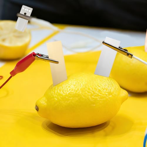 Sewroro Zinc and Copper Sheets 10 Pairs Fruit Battery Experiment