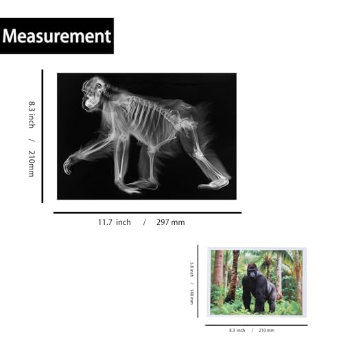 Thematic Animal X-Rays, Set of 16, Simulation Specimen, Science Education Materials for Kindergarten & Preschool, Light Table Accessories, Montessori & Reggio-Inspired (Wild Animals) - color: Wild animals