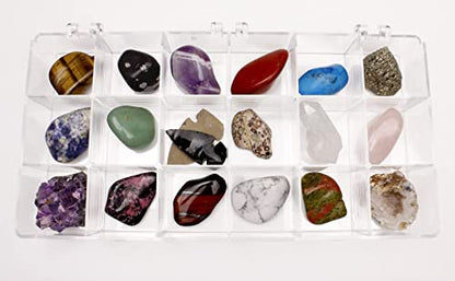 DANCING BEAR 18 Pc Rock and Mineral Educational Collection & Deluxe Collection Box with Description Sheet and Educational Information. Limited Edition, Geology Gem Kit for Kids with Display Case