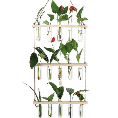 YIBOT Plant Propagation Stations with Wooden Stand 15 Glass Test Tubes Vase - color: Beige, size: 14"L x 14"W x 35"H