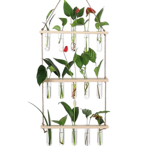 YIBOT Plant Propagation Stations with Wooden Stand 15 Glass Test Tubes Vase - color: Beige, size: 14"L x 14"W x 35"H