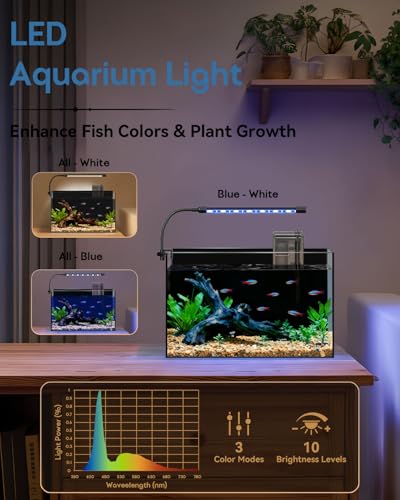 5 Gallon Glass Aquarium Starter Kit, Rimless Fish Tank - color: Black, size: 5 Gallon