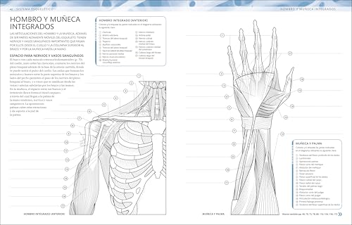 Atlas de anatomía para colorear (The Human Body Coloring Book): Guía de estudio (Spanish Edition)