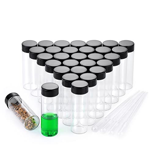 30ml Clear Small Glass Vials 30pcs with Screw Caps(30pcs) - color: Clear, size: 30ml 30pcs