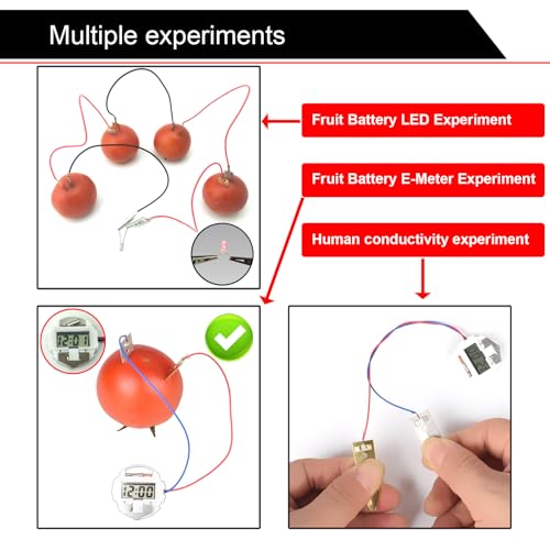 EUDAX Fruit Battery Science Experiment Kit for DIY School Home Teaching Equipment, Orange Lemon Potato Electronic Clock Science Project Kit Physics Educational for Students Teachers (8 Set) - style: 8 Set