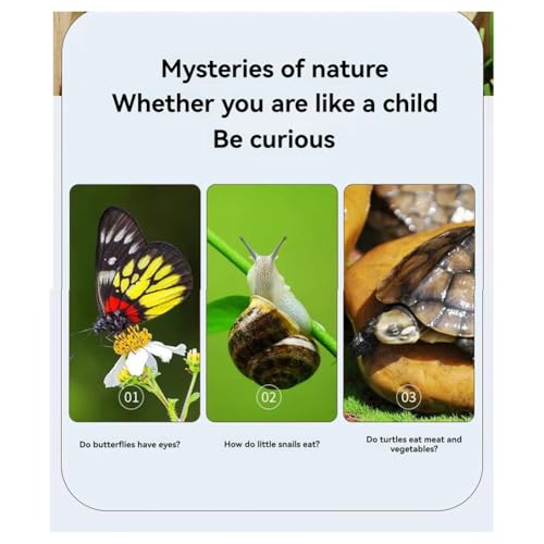 New Bug Viewer Outdoor Insect Box Magnifier Observer Kit Insect Catcher Cage Kids Science Nature Exploration Tools