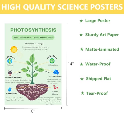 6 Biology Posters for Classroom Educational Biology Posters for High School