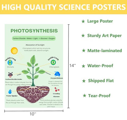 6 Biology Posters for Classroom Educational Biology Posters for High School
