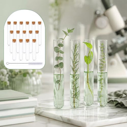 10ml Clear Plastic Test Tubes with Cork Stoppers 15pcs 15x100mm