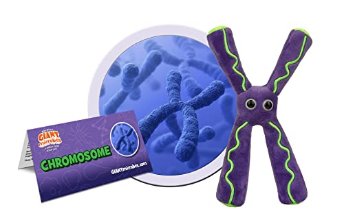 GIANT MICROBES Chromosome Plush, Genetics Gift, DNA Gifts, Genealogy, Ancestry Gift, Biology Plushies, Genetic Counselor, Forensic Science Gifts, Biology Models (Pack of 2) - size: 8 x 5 x 1.5 inches (Pack of 2)