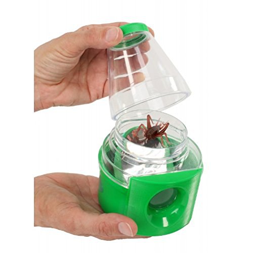 Insect Lore Bug Viewer And Case - Creature Peeper With 3x Magnified Views From Above And Below