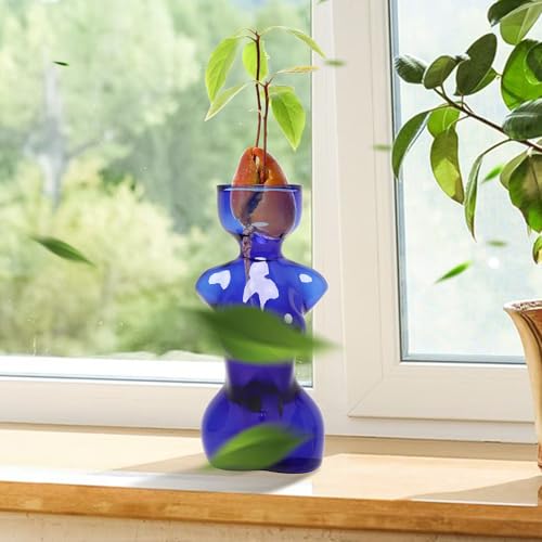 Plant Propagation Jars Unique Body Avocado Vase - color: Grey Blue