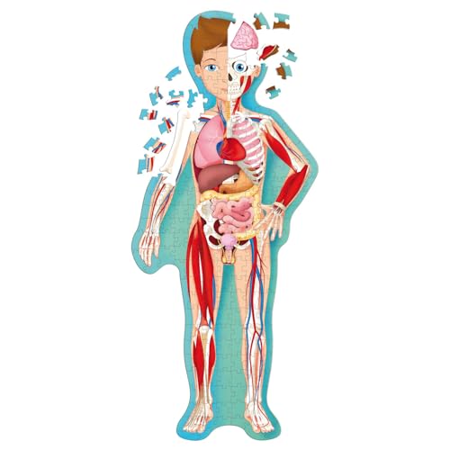 Sassi: Travel, Learn & Explore - The Human Body - 200pc Shaped Puzzle & 32-Page Book, Educational Set, Facts About Bodily Systems, (N.E. 2024) Kids 6+