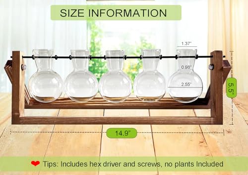Kingbuy Plant Propagation Station with 5 Bulb Vases - size: 5 Bulb Vase