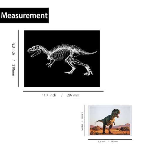 Thematic Animal X-Rays, Set of 16, Simulation Specimen, Science Education Materials for Kindergarten & Preschool, Light Table Accessories, Montessori & Reggio-Inspired (Dinos) - color: Dinos