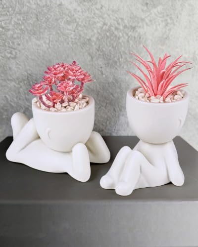 Small Fake Plant Office Decor for Women - Pink Gifts for Women - Cute Office Decor - Pink Decor for Office Decorations - Succulents Fake Plants for Shelf Decor - Office Supplies - size: (A) White with Pink