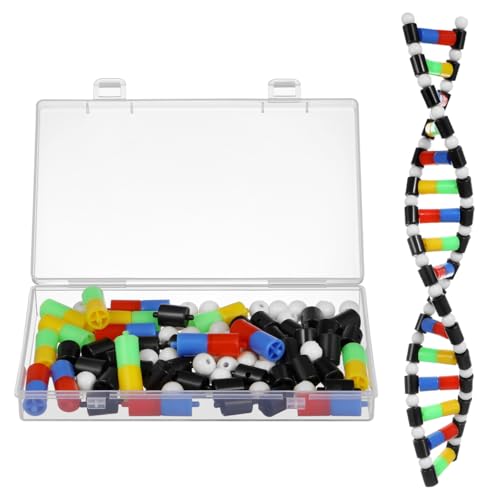 ibasenice DNA Double Helix Structure Model Kit Science Education Toy
