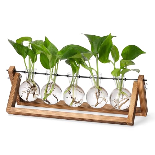 YIBOT Plant Propagation Stations with Wooden Stand & 5 Glass Bulb Vases - size: 5Bulb-A