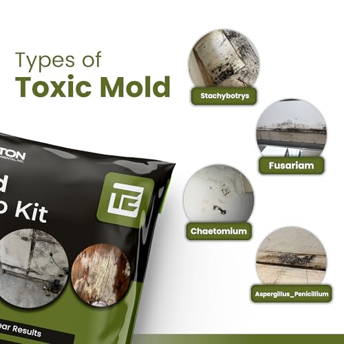 Mold Test Kit for Home – Lab Fees Included, Detects 20+ Mold Types, Swab & Air Sample Testing, Lab Analysis in 1 Business Day Once Lab Receives Sample (1 Pack)