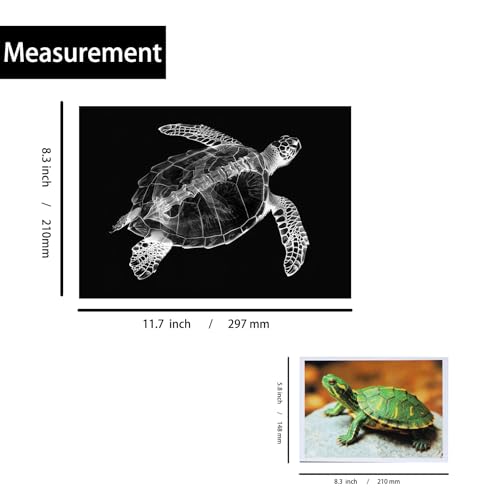 Thematic Animal X-Rays, Set of 16, Simulation Specimen, Science Education Materials for Kindergarten & Preschool, Light Table Accessories, Montessori & Reggio-Inspired (Pets) - color: Pets