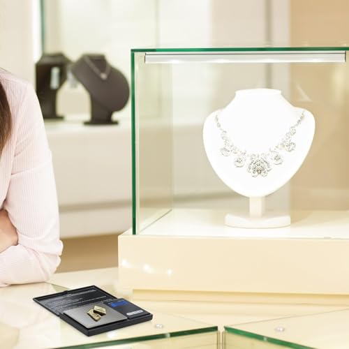 Smart Weigh Digital Pocket Scale, 600g x 0.1g, Jewelry and Coins - size: 600g / 0.1g