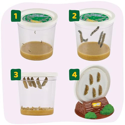 Insect Lore Butterfly Garden with 5 Live Baby Caterpillars - STEM Activity Journal, Habitat, Chrys-A-Lid Holder and Feeder Included | Raise and Release Painted Lady Butterflies - style: Live Butterfly Garden