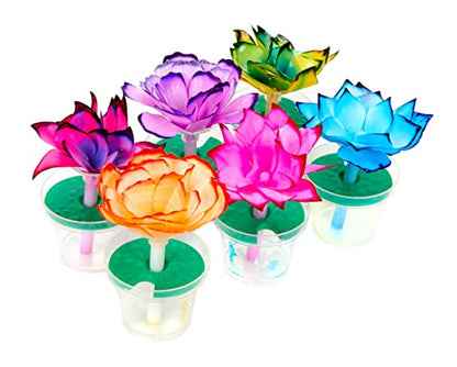Crayola Paper Flower Science Kit, Color Changing Flowers, Gift for Kids Ages 7, 8, 9, 10 - size: small to medium