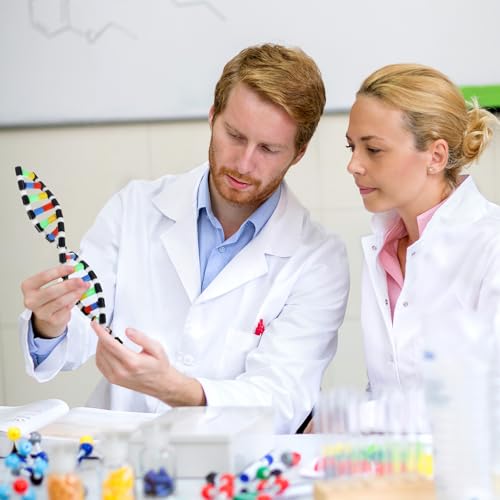 TOYANDONA DNA Model Kit, Twistable DNA Double Helix Structure Model DNA Double Helix Model with Storage Box for School Student Science Teaching Educational Learning