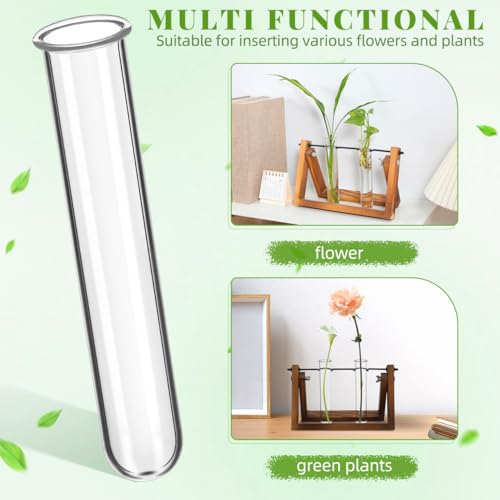 Glass Test Tubes for Plants with Reinforced Rim, 4 Piece Clear 5.9" x 1.2" Borosilicate Propagation Tubes Vase for Hydroponic Plant Starter, Cuttings and Flower Arrangement