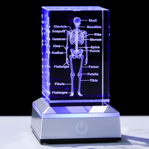3D Crystal Human Skeleton Anatomy Model Medical Decor Gifts for Doctor, Laser Etched Science Biology Figurine Paperweight Psychology Graduation Gifts for Medical Students with LED Base - color: Skeleton