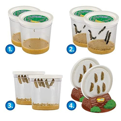 Insect Lore Live Butterfly Garden Growing Kit - 10 Live Baby Painted Lady Caterpillars - Dome Observation Habitat - Grow, Raise and Release Painted Lady Butterflies from The USA - style: Farm Habitat