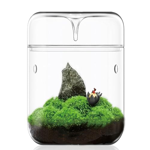SARUFO Small Glass Plant Terrarium 4.7"X7" Inches Succulent Air Planter Fern Moss Micro-Landscape Vase for Home Garden Office Tabletop Decoration Container with Lid Indoor Wardian Copyright Patent - color: Without Light