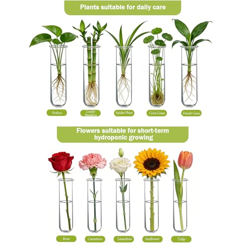 XXXFLOWER Wall Hanging Propagation Station with Wooden Stand 15 Tubes - color: Beige, size: 15 Tube Vases