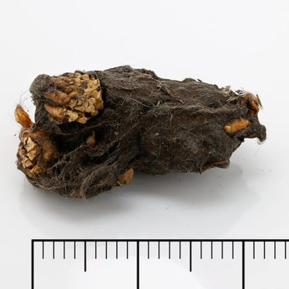 Barn Owl Pellets, Pack of 20 Large Pellets and Bone Sorting Guide, Individually Foil Wrapped & Pre-Graded, Science Classroom Hands On Dissection Kit