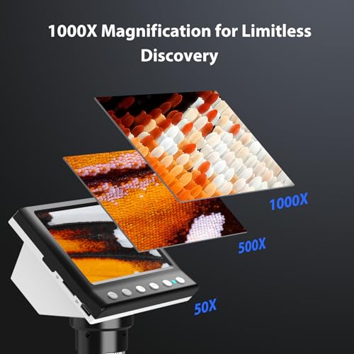 Hayve 4.3'' IPS Coin Microscope 1000X Collection Supplies with Lights - size: 4.3 Inch (32GB TF Card)
