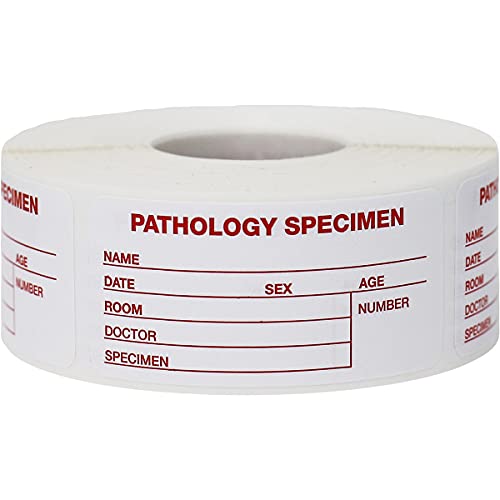 Pathology Specimen Medical Healthcare Labels 1.125 x 2.375 Inch 500 Total Labels