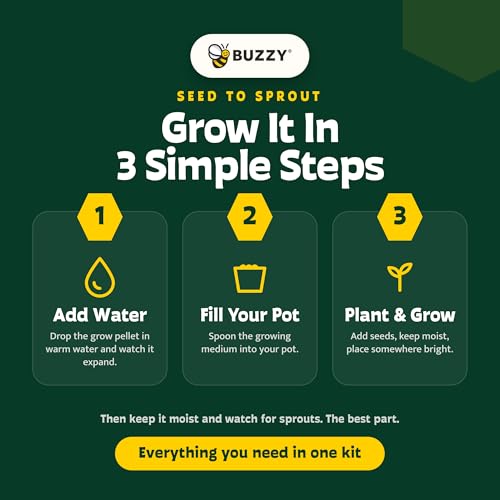 BUZZY Seeds Daisy Daydream Grow Kit 6-Pack, Mini Terracotta Pots, Indoor - color: 6pk Daisy