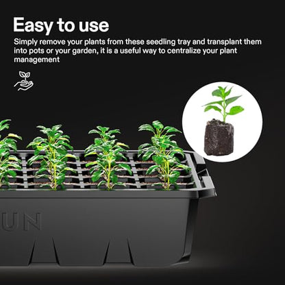 VIVOSUN 6-Pack Seed Starter Kit, 240-Cell Tray, 2 Set of LED Lights - size: 6-Pack 240-Cell, style: Trays with 2 Sets Lamps