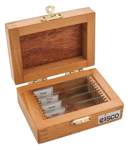 EISCO Wooden Slide Box for 12 Slides with Latch, Fits 75x25mm