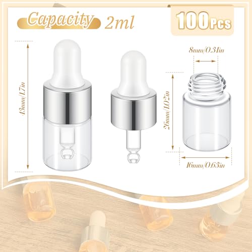 Didaey 100 Pcs Mini Glass Oil Dropper Bottle, 2 ml, Classic Silver - color: Classic Silver, size: 2 ml