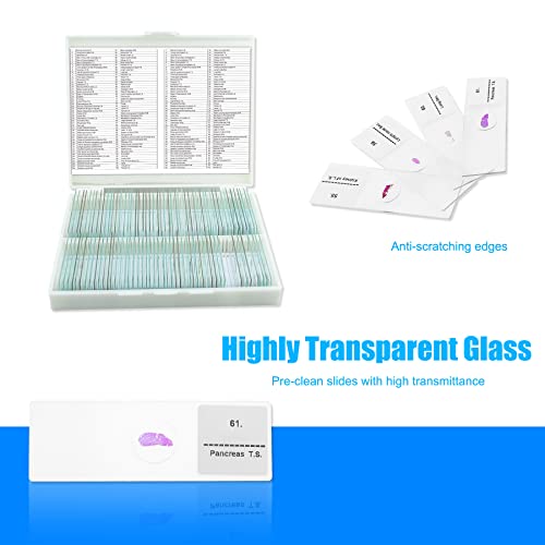 100 Pcs Prepared Microscope Slides with Specimens for Kids Learning