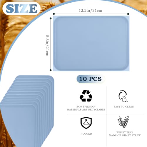 Plastic Art Trays,10 Pack Large Plastic Trays Stackable Activity Tray Craft Organizer Tray Serving Tray,Painting, Beads,Storage & Serving Tray (12.2 x 8.9 Inches) (Blue) - color: Blue