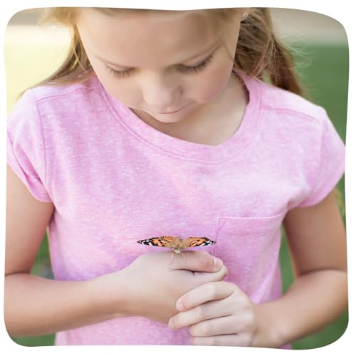 Insect Lore Cup of Caterpillars Basic – 5 Live Painted Lady Caterpillars with Food – Refill Kit for Butterfly Garden Habitat – STEM Science Activity for Kids & Classrooms - style: 1 Cup Basic